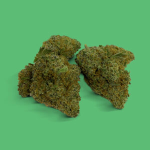 Snow Montana Snow Montana