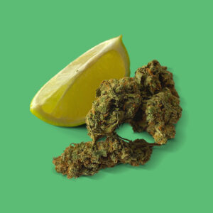 Lemon Haze Lemon Haze